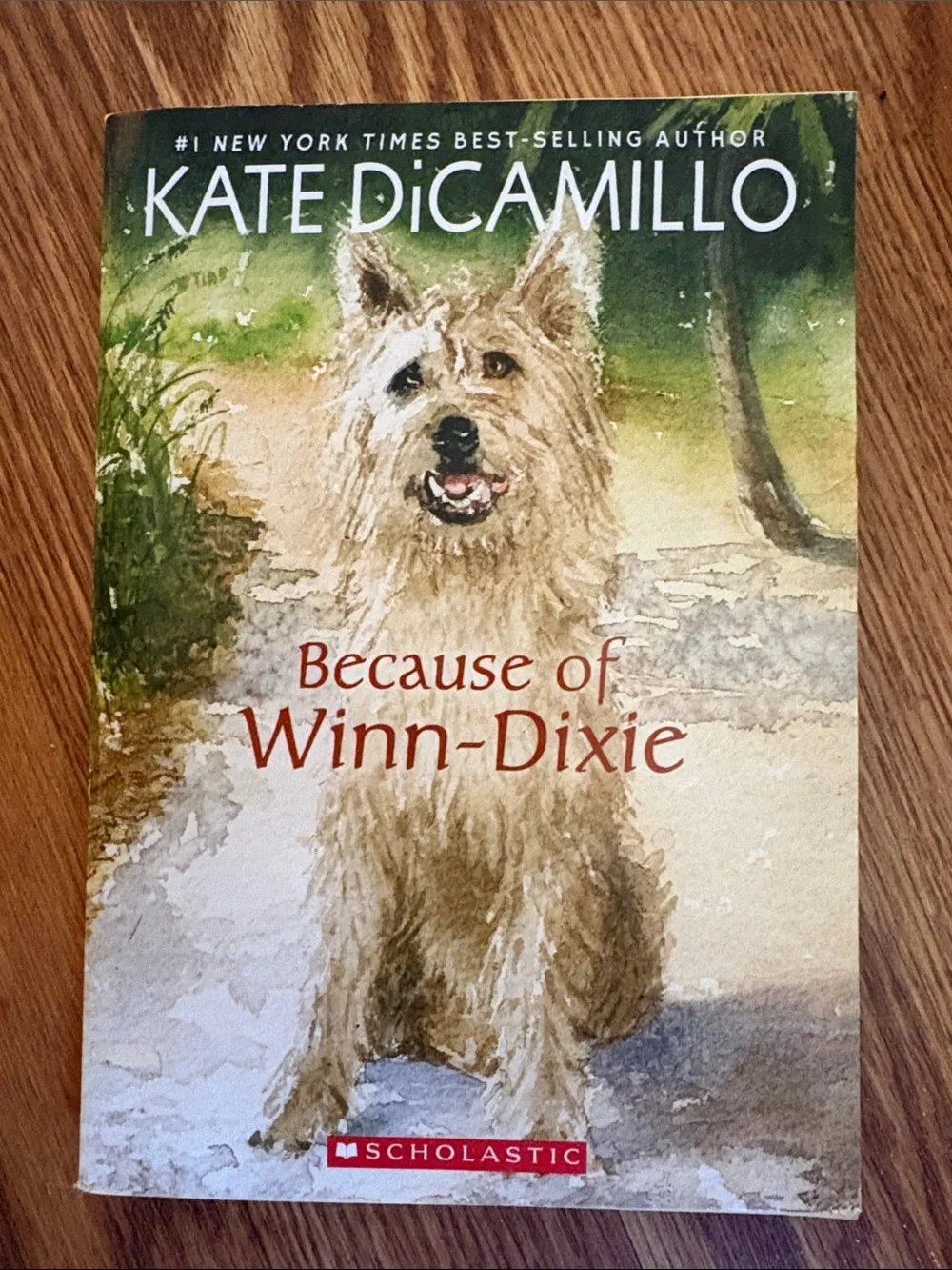 Scholastic Because of Winn-Dixie Book – Green, Brown, White